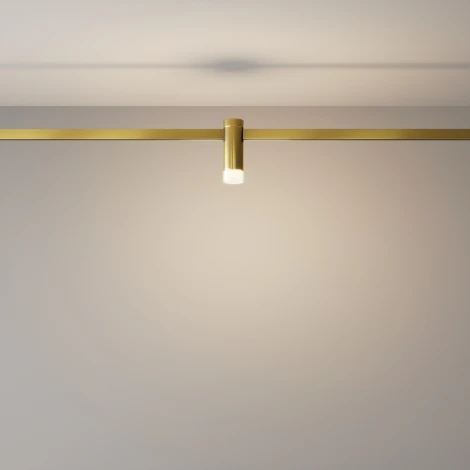 Трековый светильник магнитный 24V 3W Maytoni Skim TR145-1-3W3K-W-BS (LED, круглые)