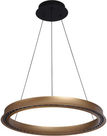 Подвесной светильник Aployt Justyna APL.787.03.50 (LED, 220V, на тросе, кольцо)