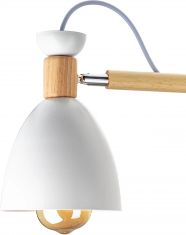 Потолочная люстра на штанге Ritter Volante 52594 3