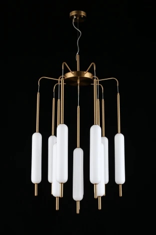 Подвесная люстра Aployt Carla APL.010.03.80 (LED, 220V, на тросе)