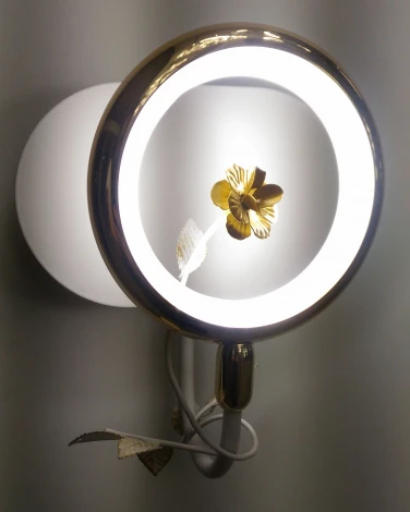 Бра Odeon Light Fiuggi 4036/6WL (LED, 220V, подвески, кольцо)