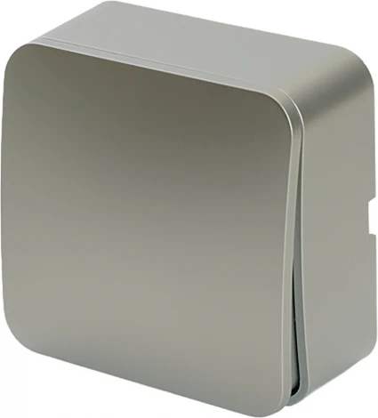 Выключатель одноклавишный (серебро) Stekker София 49295