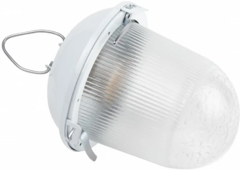 Подвесной светильник ЭРА НСП 41-200-001 (220V, IP54)