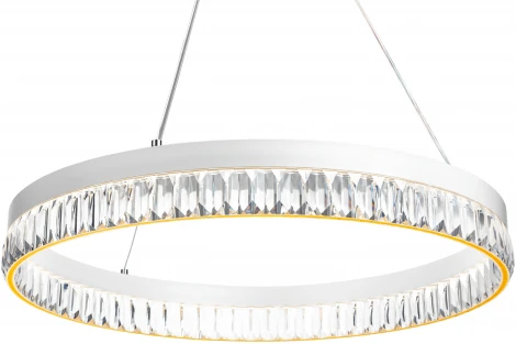 Подвесной светильник светодиодный с ДУ Ritter Lucido 52934 1