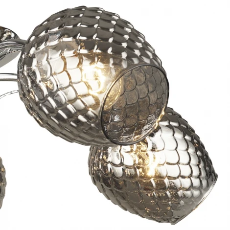 Потолочная люстра Wedo Light Leonessa 66591.01.03.05