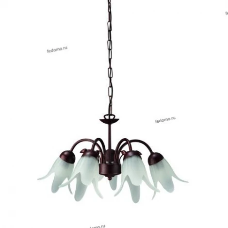 Massive Alberi 37726-86-10