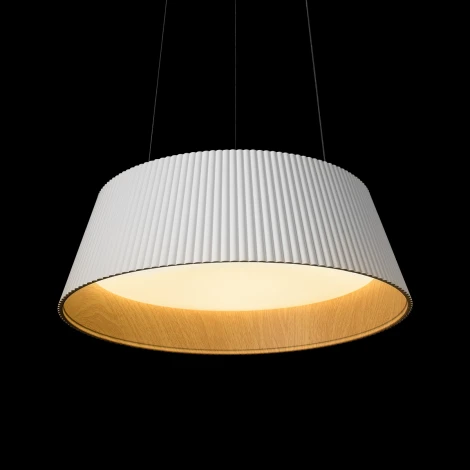Подвесной светильник Loft It Evans 10224P White (LED, 220V, на тросе, круглые)