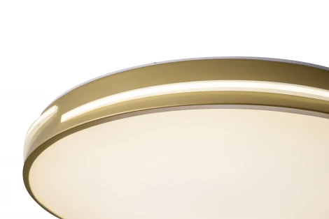 Потолочный светильник круглый со спотами Zortes Gabby ZRS.90610.50 (LED, 220V, круглые)