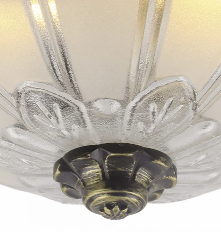 Потолочный светильник Arte Lamp Piatti A8003PL-2AB