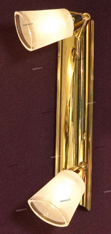 Настенный светильник Lussole Rasen LSL-5001-02