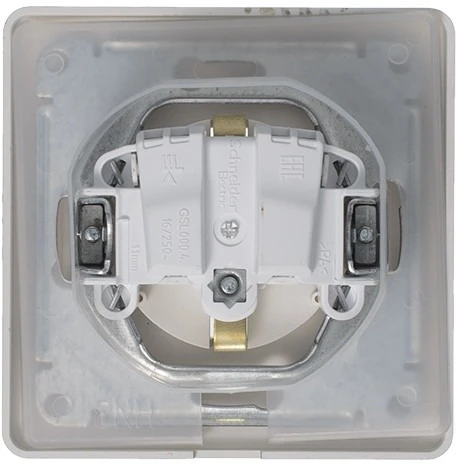 Розетка встраиваемая с заземлением, шторками и крышкой (платина) IP44 Systeme Electric Glossa GSL001248