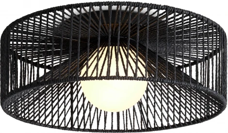 Потолочный светильник круглый Freya Cottage FR5405CL-01B (220V, шар, круглые, клетка)