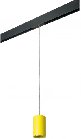 Трековый светильник однофазный 220V Lightstar Rullo PRORP433 (круглые)