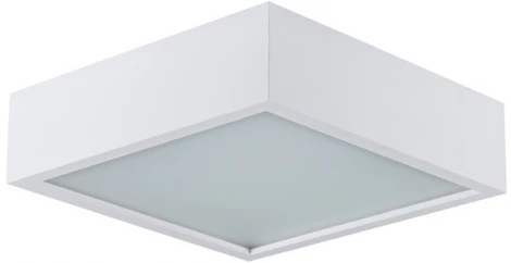 Потолочный светильник Kanlux MERSA 25675 (220V)