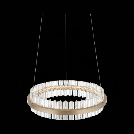 Подвесной светильник ST Luce Cherio SL383.203.01 (LED, 220V, на тросе)