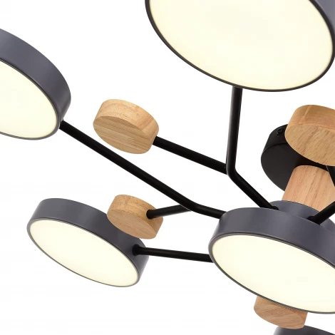 Потолочная люстра на штанге Evoluce Faema SLE6006-702-07