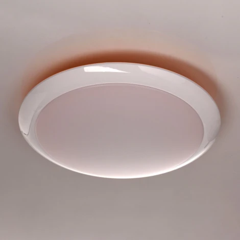 Потолочный светильник MW-Light Ривз 674014101