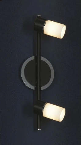 Настенный светильник Lussole Siliqua LSQ-6101-02