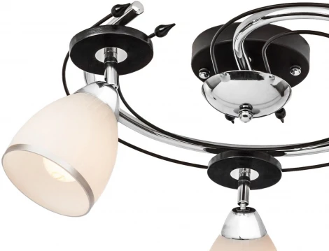Потолочная люстра Silver Light Austerity 223.59.3