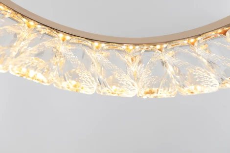 Подвесной светильник светодиодный Rivoli Erika 6131-101 (220V, на тросе, круглые)