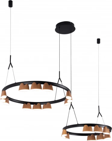 Подвесной светильник Favourite Interline 4266-21P (LED, 220V, на тросе)