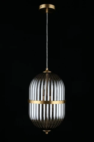 Подвесной светильник Aployt Ludovica APL.860.06.06 (220V, на проводе, круглые)