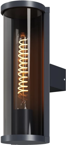 Настенный уличный светильник Maytoni Conf O451WL-01GF (220V, круглые, IP54)