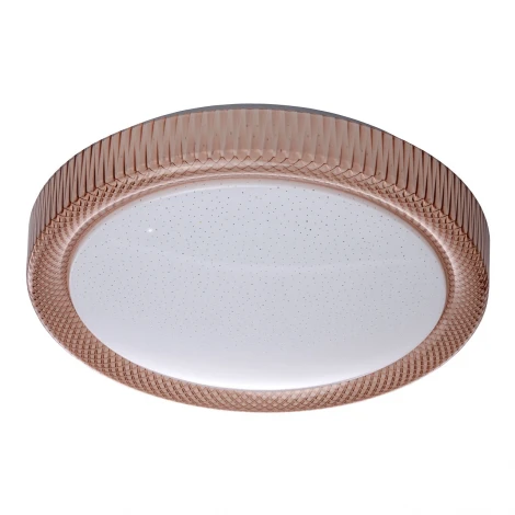 Потолочный светильник DeMarkt Ривз 674014001