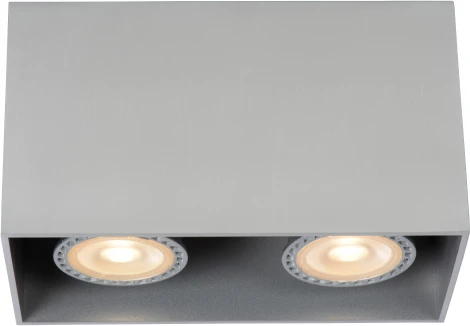 Накладной точечный светильник Lucide Bodi 09101/02/12 (220V)