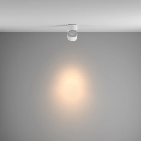 Накладной потолочный светильник Yin 3000K 1x15Вт 24° LED Maytoni Technical C084CL-15W3K-W (220V, круглые)