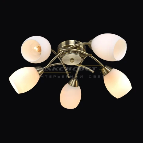 Потолочная люстра Максисвет 8996 1-8996-5-AB E14