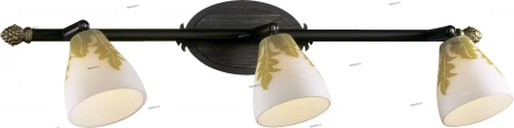 Спот Odeon Light Canto 2146/3W