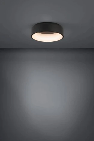 Потолочный светильник круглый Marghera 2 390049 (LED, 220V, круглые)