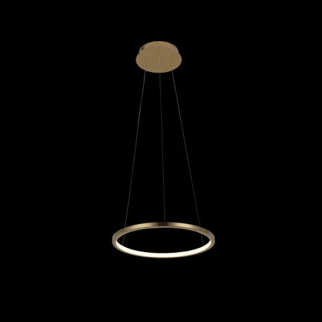 Подвесной светильник Loft IT Ring 10014S (LED, 220V, на тросе, кольцо)