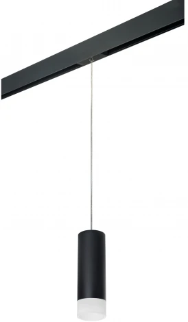 Трековый светильник однофазный 220V Lightstar Rullo PRORP48731 (круглые)