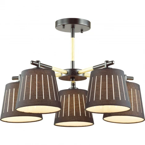 Потолочная люстра Odeon Light Nicola 4110/5