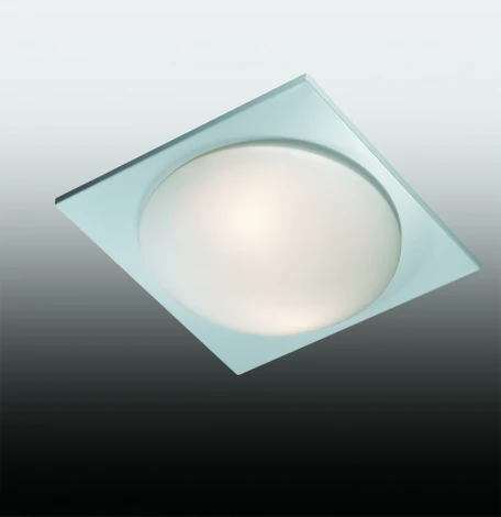 Настенно-потолочный светильник Odeon Light Brido 2762/2C