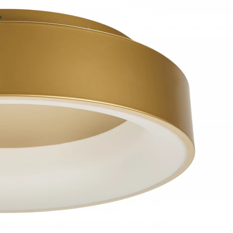 Потолочный светодиодный светильник круглый MyFar Shannon MR2195-1PL (220V, пульт управления, круглые, IP40)