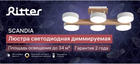Потолочная люстра светодиодная на штанге с ДУ Ritter Scandia 51627 3