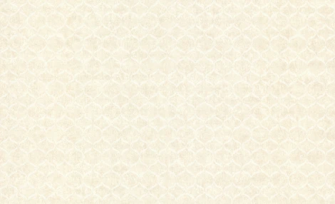 Обои виниловые Marburg Padua Classic 57326 10,05 x 1,06 м