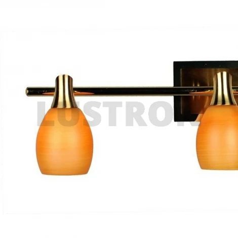 Спот Omnilux OML-217 OML-21701-03