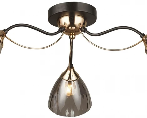 Потолочная люстра Wedo Light Livorno 66659.01.15.03