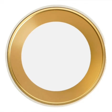 Светильник накладной Feron ML101 51378