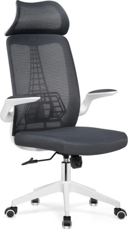 Компьютерное кресло Woodville Lokus dark gray