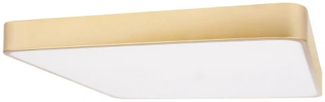 Потолочные светильники Loft It Flims 10228/D (LED, 220V)