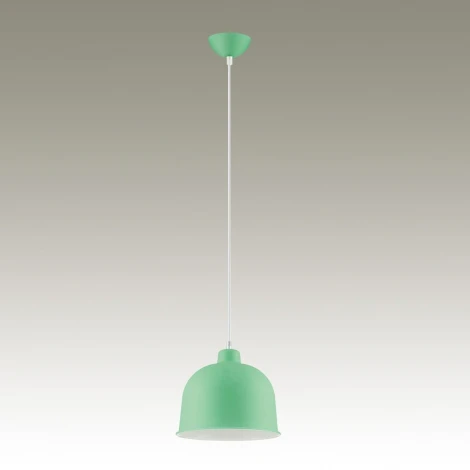 Подвесной светильник Lumion Rory 3657/1