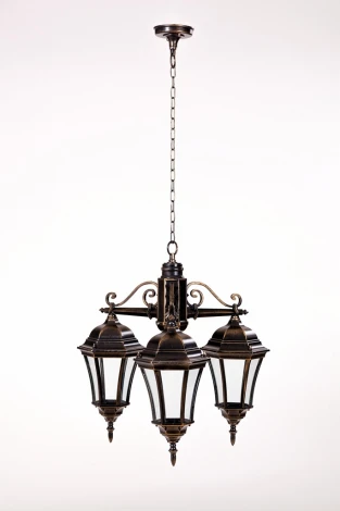 Уличный светильник подвесной Oasis Light ASTORIA 1 S 91370S/3 Gb