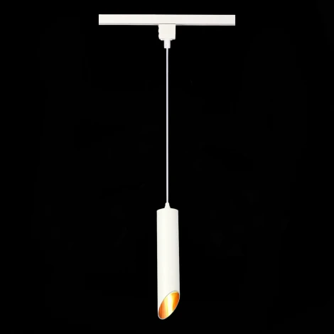 Трековый светильник однофазный ST Luce ST152.506.01 (220V, круглые)