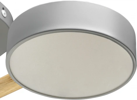 Потолочная люстра светодиодная на штанге с ДУ Ritter Scandia 51590 0