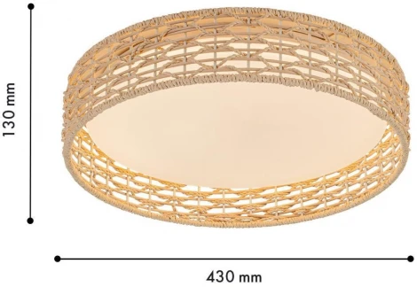 Потолочный светильник круглый LED F-Promo Conrad 4749-4C (регулировка яркости, 220V, пульт управления, круглые)